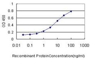 Detection limit for recombinant GST tagged MGC29891 is approximately 0.