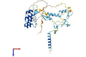 AlphaFold protein structure predicition of Mouse Recombinant Gpank1 Protein, UniprotID Q61858