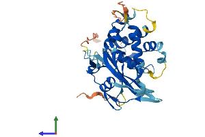 AlphaFold protein structure predicition of Human Recombinant USP50 Protein, UniprotID Q70EL3