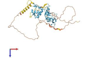 AlphaFold protein structure predicition of Human Recombinant ZIC4 Protein, UniprotID Q8N9L1