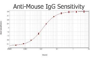 ELISA results of purified Rabbit anti-Mouse IgG Antibody tested against purified Mouse IgG. (Lapin anti-Souris IgG (Heavy & Light Chain) Anticorps)