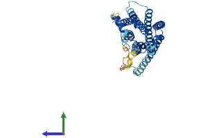 AlphaFold protein structure predicition of Human Recombinant MC3R Protein, UniprotID P41968