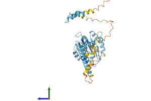 AlphaFold protein structure predicition of Human Recombinant PSMD4 Protein, UniprotID P55036