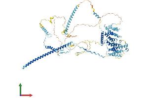 AlphaFold protein structure predicition of Human Recombinant NOP14 Protein, UniprotID P78316