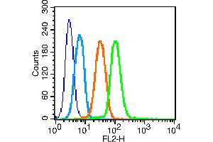 K562 cells probed with GLUT4 Polyclonal Antibody, unconjugated  at 1:100 dilution for 30 minutes compared to control cells (blue) and isotype control (orange) (GLUT4 anticorps  (AA 401-509))