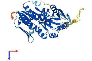 AlphaFold protein structure predicition of Mouse Recombinant Prpsap1 Protein, UniprotID Q9D0M1
