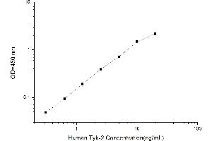 Typical standard curve (TYK2 Kit ELISA)