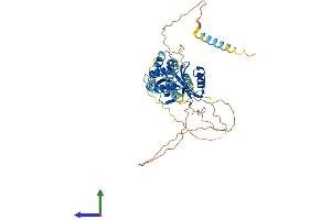 AlphaFold protein structure predicition of Mouse Recombinant Ccm2 Protein, UniprotID Q8K2Y9