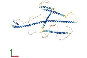AlphaFold protein structure predicition of Mouse Recombinant Ssx2ip Protein, UniprotID Q8VC66