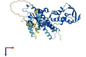 AlphaFold protein structure predicition of Human Recombinant VPS4B Protein, UniprotID O75351