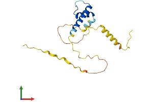 AlphaFold protein structure predicition of Human Recombinant ID1 Protein, UniprotID P41134