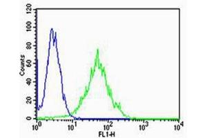 Flow cytometric analysis of Hela cells using PSEN2(Presenilin-2 NTF subunit) Antibody (N-term)(green, Cat(ABIN1944732 and ABIN2838558)) compared to an isotype control of rabbit IgG(blue).