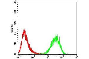 Flow cytometric analysis of Jurkat cells using CD99 mouse mAb (green) and negative control (red). (CD99 anticorps  (AA 1-185))