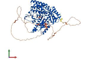 AlphaFold protein structure predicition of Human Recombinant HDC Protein, UniprotID P19113
