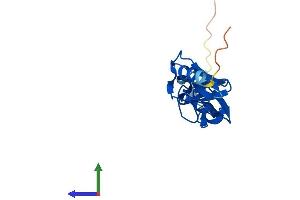 AlphaFold protein structure predicition of Human Recombinant LMO3 Protein, UniprotID Q8TAP4