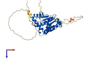 AlphaFold protein structure predicition of Human Recombinant SRRD Protein, UniprotID Q9UH36