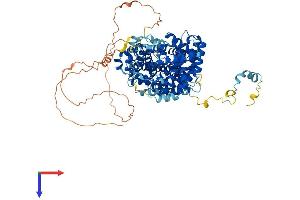 AlphaFold protein structure predicition of Human Recombinant STRIP2 Protein, UniprotID Q9ULQ0