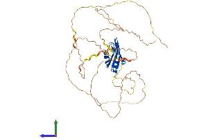 AlphaFold protein structure predicition of Human Recombinant RBFOX1 Protein, UniprotID Q9NWB1