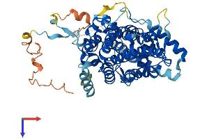 Sestrin 1 (SESN1) (AA 1-492) protein (His tag)
