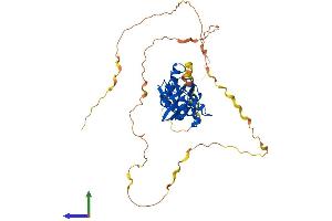 AlphaFold protein structure predicition of Mouse Recombinant Prrc1 Protein, UniprotID Q3UPH1
