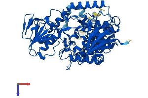 AlphaFold protein structure predicition of Mouse Recombinant Fmo5 Protein, UniprotID P97872