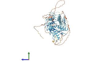 AlphaFold protein structure predicition of Human Recombinant ZNF16 Protein, UniprotID P17020