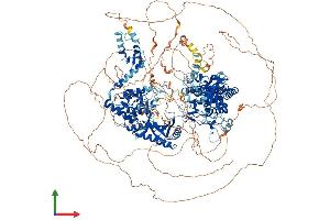 AlphaFold protein structure predicition of Mouse Recombinant Tut4 Protein, UniprotID B2RX14