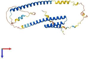 AlphaFold protein structure predicition of Human Recombinant NRBF2 Protein, UniprotID Q96F24