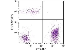 Human peripheral blood lymphocytes were stained with Mouse Anti-Human CD20-APC/CY7. (CD20 anticorps  (APC-Cy7))