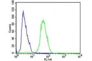 Flow cytometric analysis of SH-SY5Y cells using CDK5 antibody (green) compared to an isotype control of rabbit IgG (blue); Ab was diluted at 1:25 dilution.