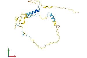 AlphaFold protein structure predicition of Human Recombinant FAM219A Protein, UniprotID Q8IW50