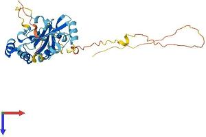 AlphaFold protein structure predicition of Human Recombinant TPGS2 Protein, UniprotID Q68CL5