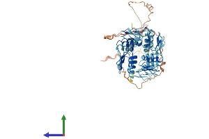 AlphaFold protein structure predicition of Human Recombinant ZNF599 Protein, UniprotID Q96NL3