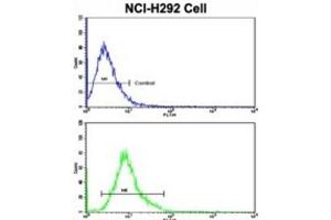 Flow Cytometry (FACS) image for anti-E74 like ETS transcription factor 4 (Elf4) antibody (ABIN3003030)