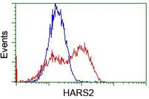 HEK293T cells transfected with either RC204925 overexpress plasmid (Red) or empty vector control plasmid (Blue) were immunostained by anti-HARS2 antibody (ABIN2455198), and then analyzed by flow cytometry. (HARS2 anticorps)
