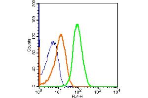 Molt-4 cells probed with CD21/EBV receptor Polyclonal Antibody, ALEXA FLUOR® 647 Conjugated (bs-3792R-A647) at 1:50 for 30 minutes compared to control cells (blue) and isotype control (orange).