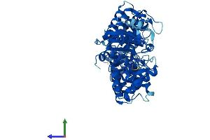 AlphaFold protein structure predicition of Human Recombinant RO60 Protein, UniprotID P10155