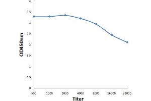 Antigen: 0. (VEGFB167 (AA 121-188) anticorps)