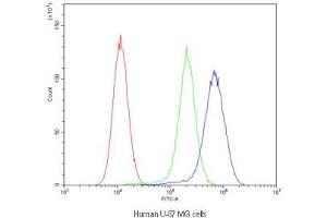 Flow cytometry testing of human U-87 MG cells with MVP antibody at 1ug/10^6 cells (blocked with goat sera) (MVP anticorps)