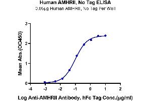 Immobilized Human AMHRII at 0. (AMHRII (AA 18-144) (Active) Protéine)