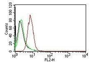 Flow Cytometric analysis of human Cyclin D1 on HeLa cells.