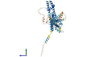 AlphaFold protein structure predicition of Human Recombinant KCNV2 Protein, UniprotID Q8TDN2