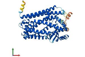 AlphaFold protein structure predicition of Human Recombinant ZMPSTE24 Protein, UniprotID O75844