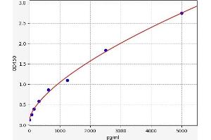 Typical standard curve (PNLIP Kit ELISA)