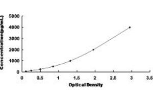 Typical standard curve (MYH8 Kit ELISA)