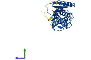 AlphaFold protein structure predicition of Mouse Recombinant Mitd1 Protein, UniprotID Q8VDV8