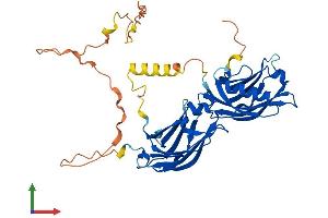 AlphaFold protein structure predicition of Human Recombinant DOC2A Protein, UniprotID Q14183