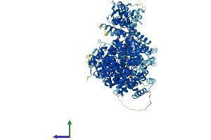 AlphaFold protein structure predicition of Mouse Recombinant Med23 Protein, UniprotID Q80YQ2
