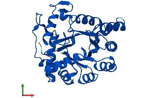 AlphaFold protein structure predicition of Mouse Recombinant Tatdn1 Protein, UniprotID Q6P8M1
