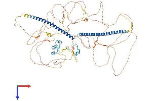 AlphaFold protein structure predicition of Human Recombinant RBBP8 Protein, UniprotID Q99708